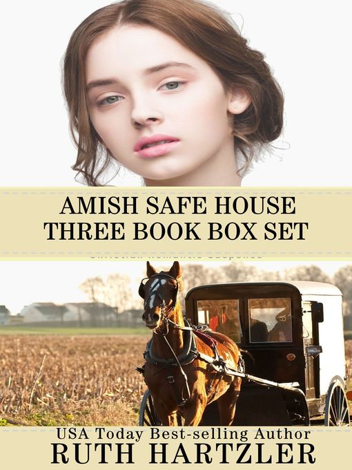 Title details for Amish Safe House 3 Book Box Set by Ruth Hartzler - Available